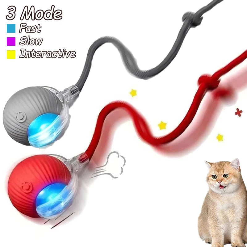 2 pelotas interactivas para gatos, automáticas, con cola falsa, recargables, inteligentes, eléctricas, para entrenamiento de gatos, imitando ratones.